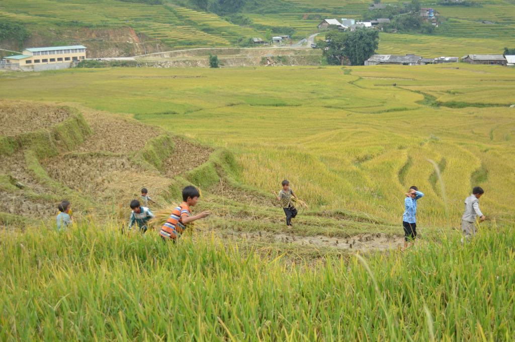 Cau May Homestay Sa Pa Esterno foto
