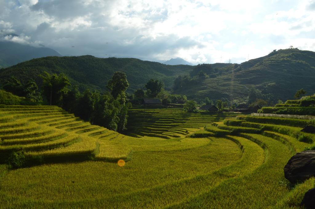 Cau May Homestay Sa Pa Esterno foto